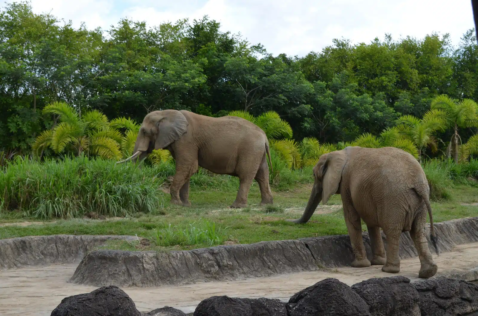 Bioparque Ukumarí